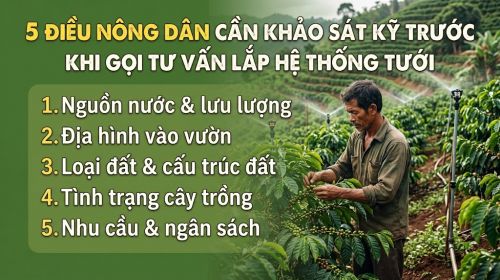 5 Điều Nông Dân Cần Khảo Sát Kỹ Trước Khi Gọi Tư Vấn Lắp Hệ Thống Tưới