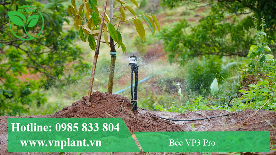 béc vp3 pro tưới cho cây con