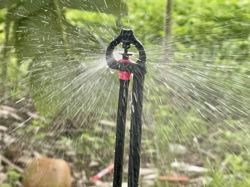 Thiết Kế Hệ Thống Tưới Tiêu Cho Vườn Sầu Riêng