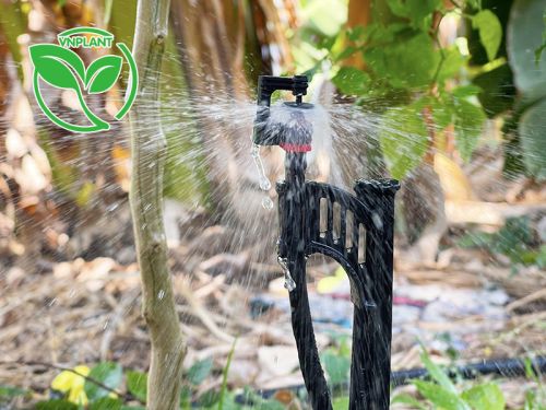 Giải Pháp Tưới Tiết Kiệm Hiệu Quả Cho Cây Cà Phê Tại Khu Vực Tây Nguyên
