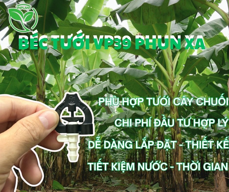 Sự Kỳ Diệu Của Béc Tưới Chuối Phun Xa Trong Nông Nghiệp Hiện Đại