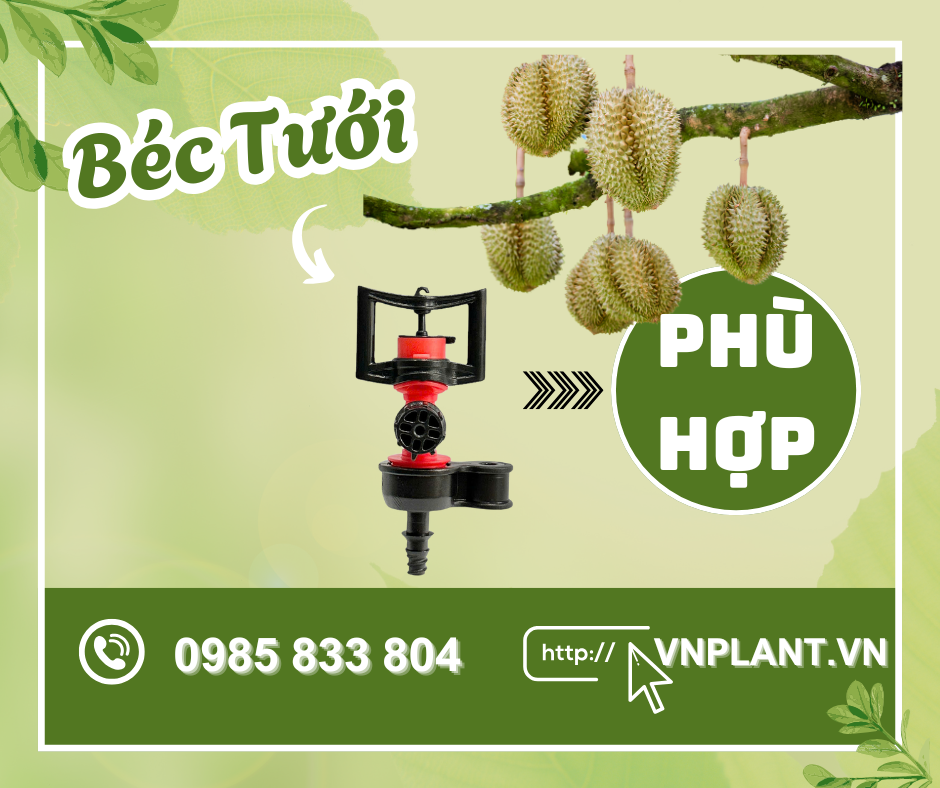 Béc Tưới Bù Áp Phù Hợp Cho Cây Sầu Riêng