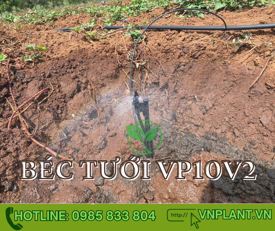 Có Nên Sử Dụng Béc Tưới Sầu Riêng VP10V2 Không
