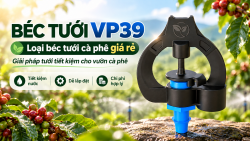 Béc Tưới Cà Phê Giá Rẻ Tiết Kiệm Hay Tốn Thêm Chi Phí?