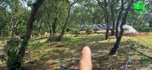 Sai Lầm Chọn Máy Bơm Khi Làm Tưới Và Cách Khắc Phục