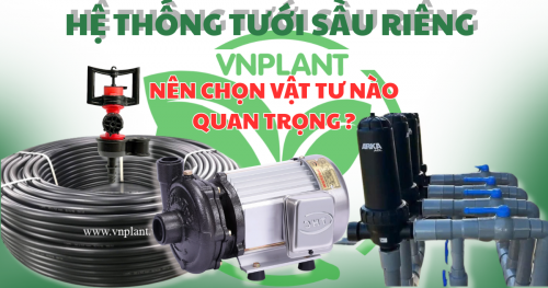 Top 4 Vật Tư Tưới Sầu Riêng Đáng Đầu Tư Nhất