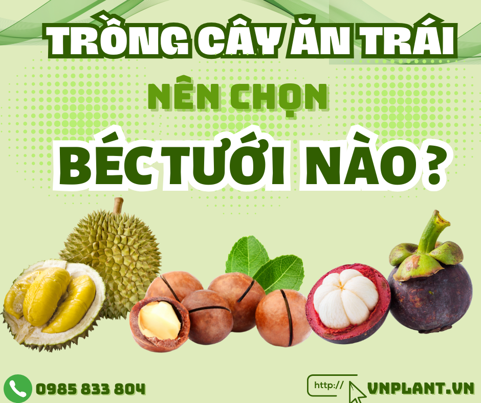Trồng Cây Ăn Trái Nên Chọn Béc Tưới Nào Phù Hợp
