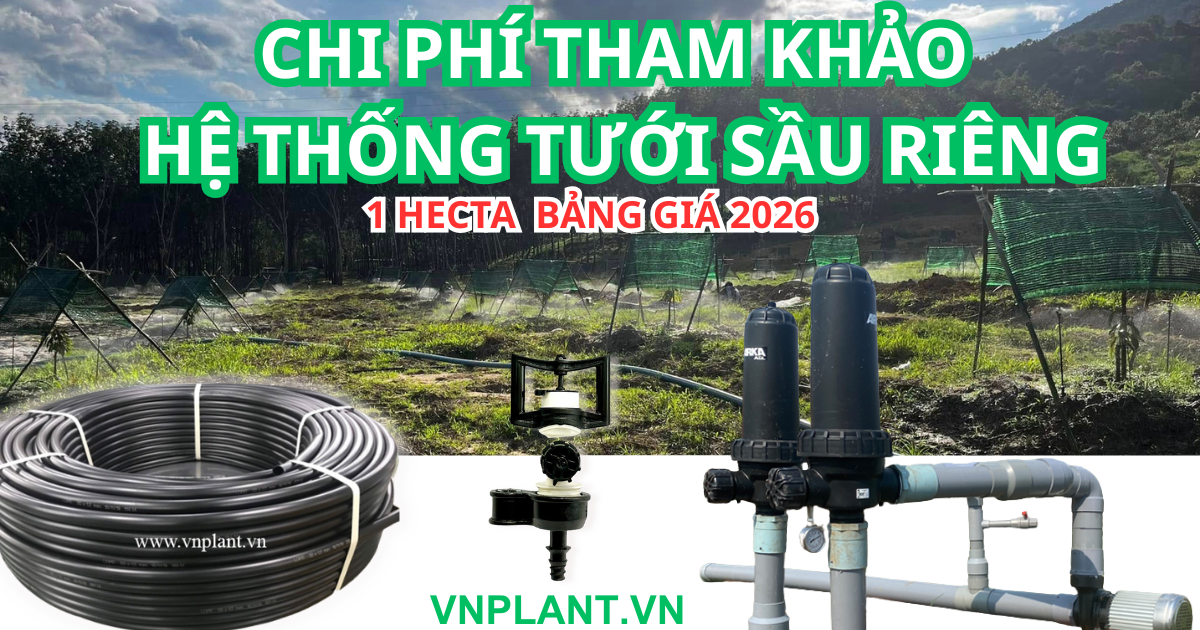 Tham Khảo Chi Phí Lắp Hệ Thống Tưới 1 Hecta Sầu Riêng Bảng Giá Chi Tiết 2026