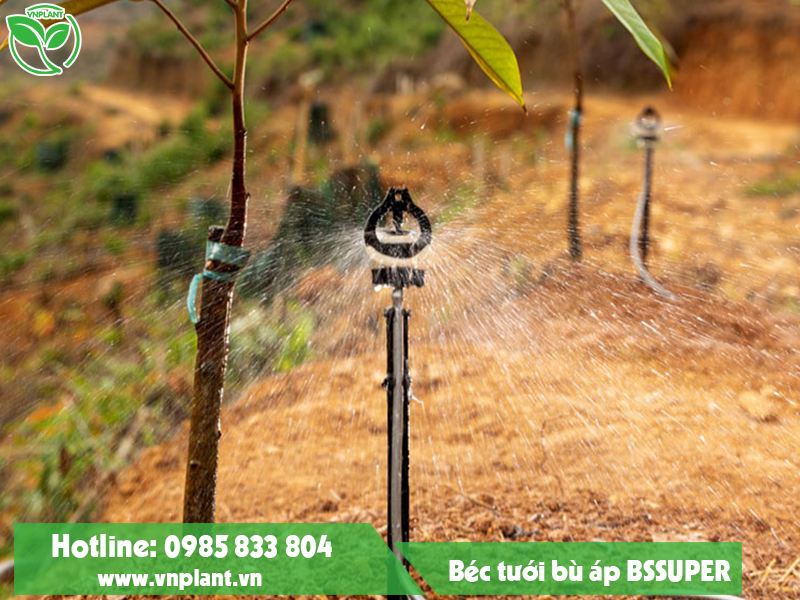 BÉC TƯỚI BÙ ÁP LÀ GÌ? MUA BÉC TƯỚI PHUN MƯA BÙ ÁP TẠI LÂM ĐỒNG