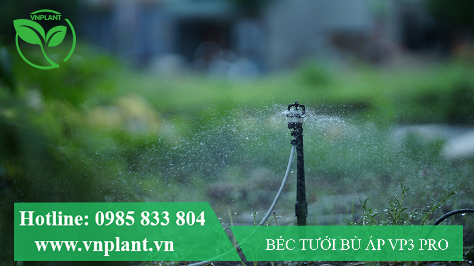 CHỌN BÉC TƯỚI PHUN MƯA 360 ĐỘ CHO ĐỊA HÌNH PHỨC TẠP