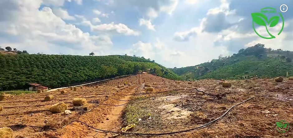 Béc VP39 Giải Pháp Tưới Cà Phê Đất Dốc Đều 100% Cho Mùa Khô 2026
