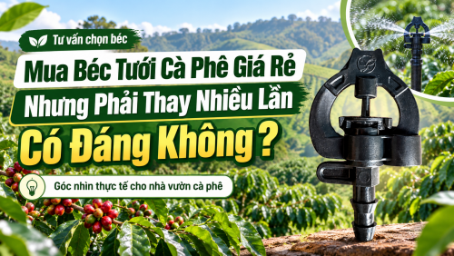 Mua Béc Tưới Cà Phê Giá Rẻ Nhưng Phải Thay Nhiều Lần Có Đáng Không