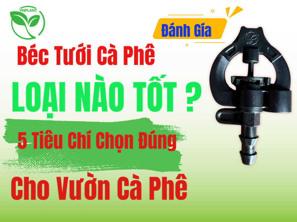 Béc Tưới Cà Phê Loại Nào Tốt 5 Tiêu Chí Chọn Đúng Cho Vườn Cà Phê