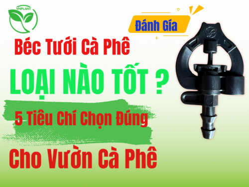 Béc Tưới Cà Phê Loại Nào Tốt 5 Tiêu Chí Chọn Đúng Cho Vườn Cà Phê