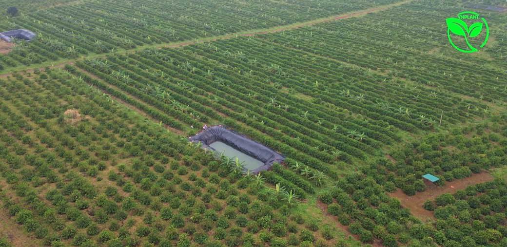 Béc Tưới G5 Và Béc Tưới VP39 Loại Béc Nào Được Bà Con Ưa Chuộng Cho Béc Tưới Cà Phê