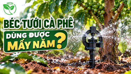 Béc Tưới Cà Phê Dùng Được Bao Nhiêu Năm? 5 Yếu Tố Ảnh Hưởng Đến Tuổi Thọ