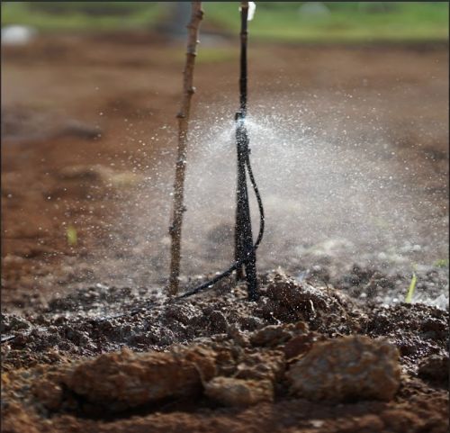 Béc VP39 Có Nên Sử Dụng Tưới Cà Phê Hay Không