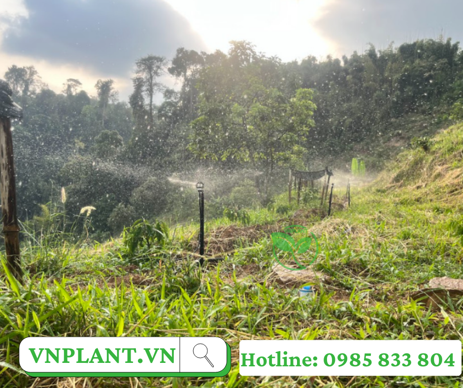 Tiết Kiệm Nước Dễ Dàng Với Béc Tưới VP10v2