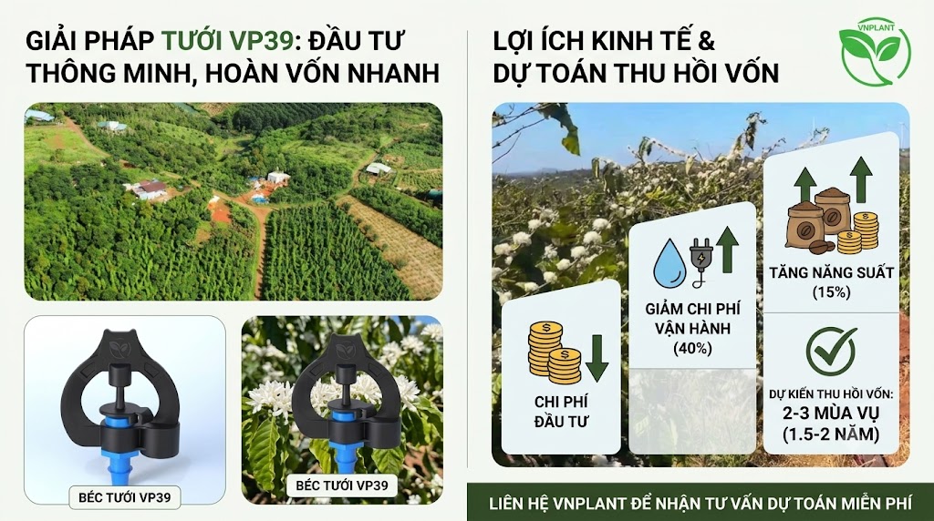 Bỏ Chi Phí Đầu Tư Béc VP39 Cho Vườn Cà Phê Sau Bao Lâu Thì Thu Hồi Vốn