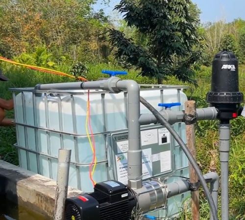 Châm Phân Qua Hệ Thống Tưới Phương Pháp Tối Ưu Chăm Sóc Cây Sầu Riêng