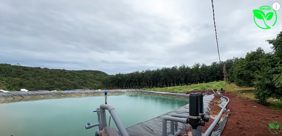 Những Sai Lầm Cần Tránh Khi Chủ Vườn Tự Lắp Hệ Thống Tưới