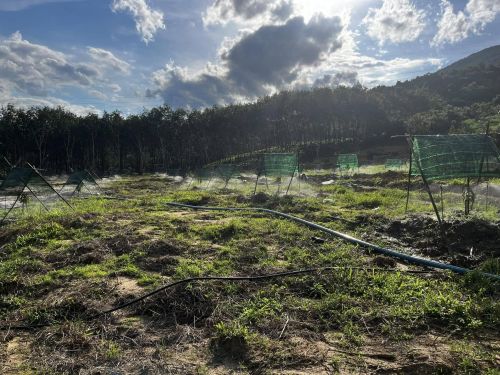 Có Nên Chôn Ống Tưới LDPE Âm Đất Ưu Nhược Điểm Và Kỹ Thuật Chôn Ống