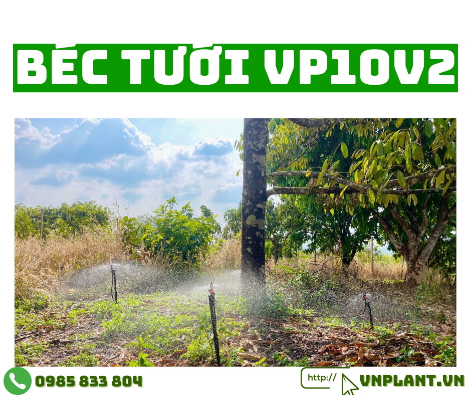 Đưa Vườn Sầu Riêng Đến Tầm Cao Mới Với Béc VP10V2