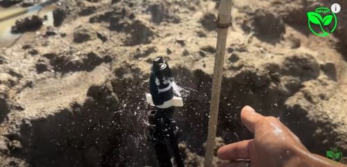 Béc Tưới Sầu Riêng Nào Hiệu Quả Nhất 2026 Cách Chọn Béc Chuẩn 100%