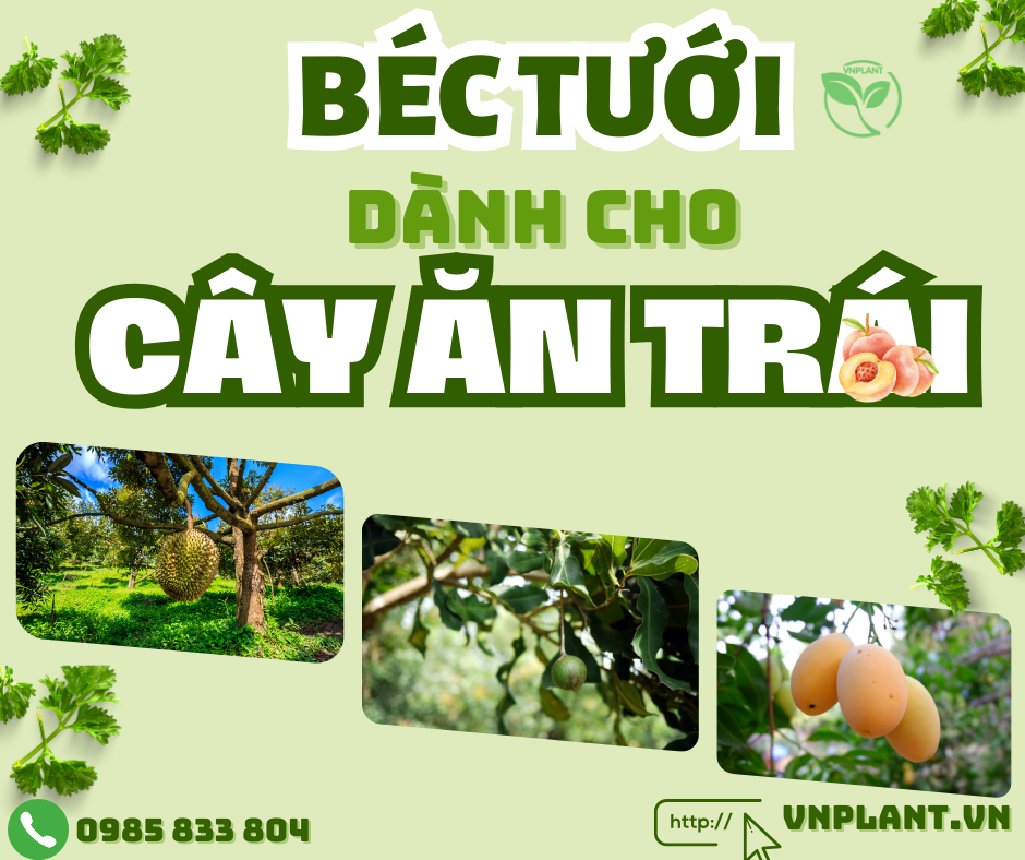 Béc Tưới Dành Cho Cây Ăn Trái 