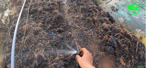 Khám Phá Béc Tưới Sầu Riêng VP10V2 250 lít