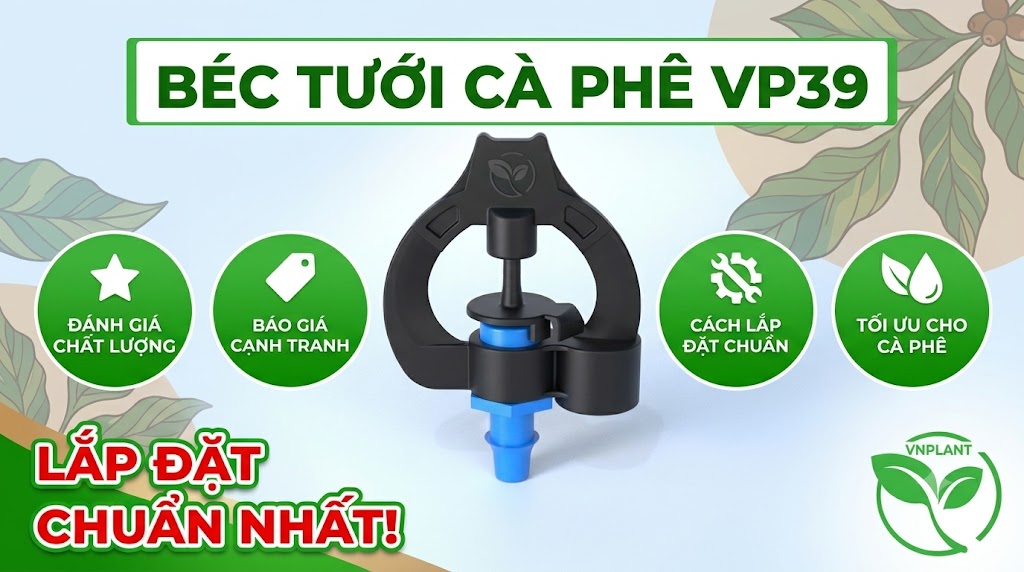 Béc Tưới Cà Phê VP39 Đánh Giá Báo Giá Cách Lắp Đặt Chuẩn Nhất