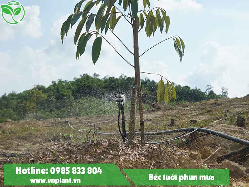 Các loại béc tưới phun mưa đang được sử dụng rất nhiều tại Đồng Nai