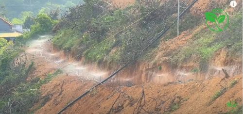 Tại Sao Phải Dùng Béc Bù Áp Thay Vì Béc Thông Thường Địa Hình Tây Nguyên