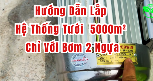 Hướng Dẫn Lắp Hệ Thống Tưới Được 5000m² Chỉ Với Bơm 2 Ngựa