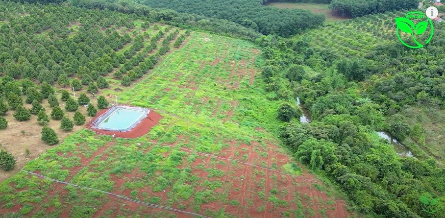 Quy Trình Lắp Hệ Thống Tưới Cho Người Mới Bắt Đầu Chăm Sóc Cây