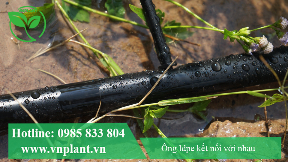 Cách Phân Biệt Ống LDPE Nhựa Nguyên Sinh Và Nhựa Tái Chế