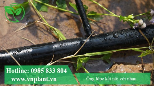 Cách Phân Biệt Ống LDPE Nhựa Nguyên Sinh Và Nhựa Tái Chế