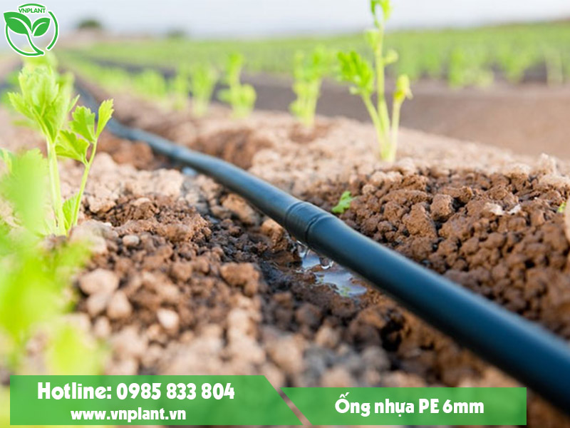 BÁN ỐNG PE 6MM TẠI LÂM ĐỒNG