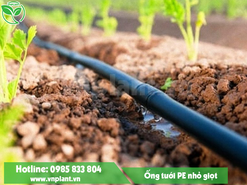 Vnplant.vn - Địa chỉ cung cấp ống tưới PE nhỏ giọt chính hãng giá rẻ nhất toàn quốc