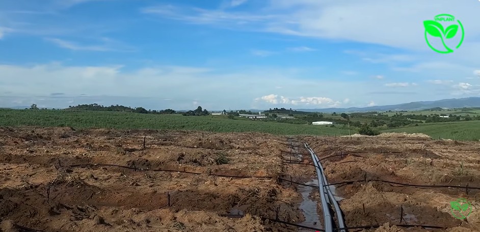 Hướng Dẫn Tự Lắp Hệ Thống Tưới Cà Phê 1 Hecta Đơn Giản Cho Người Mới Bắt Đầu
