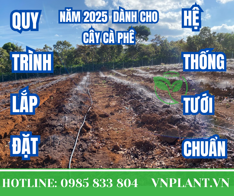 Quy Trình Lắp Đặt Béc Tưới Cà Phê Chuẩn Nhất Năm 2025
