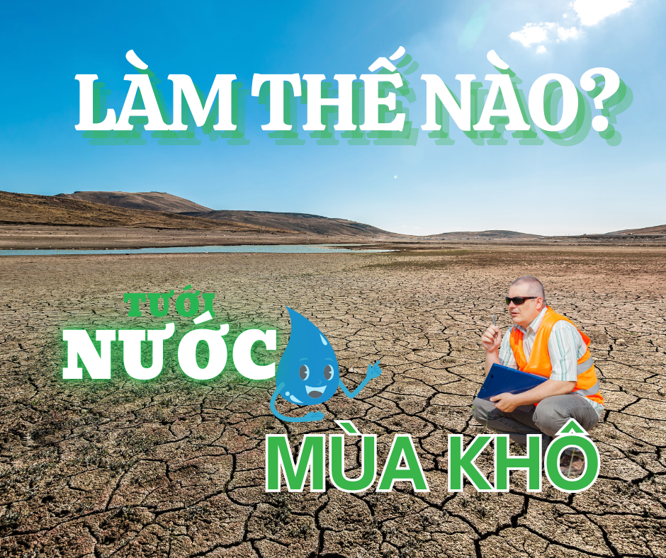 Làm Thế Nào Để Tưới Sầu Riêng Vào Mùa Khô