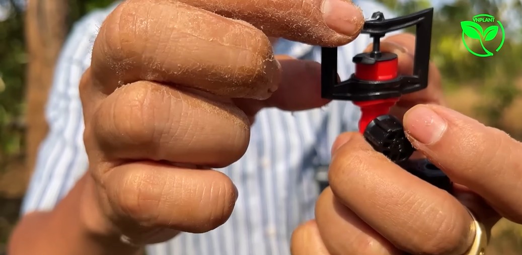 Béc VP8 Giải Pháp Đảm Bảo Mọi Gốc Sầu Riêng Đều Nhận Nước Đồng Đều