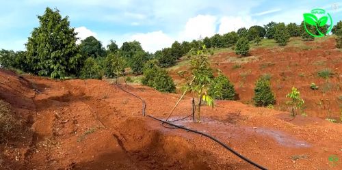 Lắp Đặt Hệ Thống Tự Chảy Một Lần 500 Béc 250 Lít