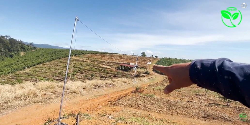 Lắp Đặt Hệ Thống Tưới Sầu Riêng Tại ĐamBri Lâm Đồng