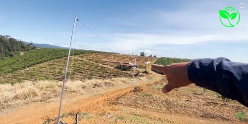 Cách Tưới Cây Tiết Kiệm Nước Mùa Khô 2026 Giải Pháp VNPLANT