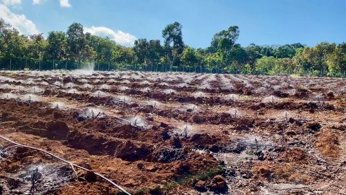 Lắp Đặt Hệ Thống Tưới Cà Phê Tự Động Ở Huyện Đăk Hà Tỉnh Kon Tum