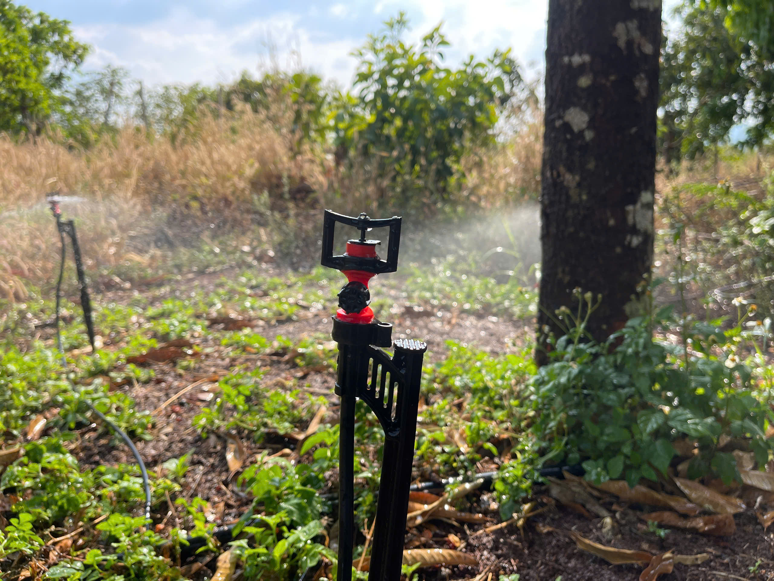 Béc VP8 Sẽ Tối Ưu Lưu Lượng Nước Cho Cây Trồng